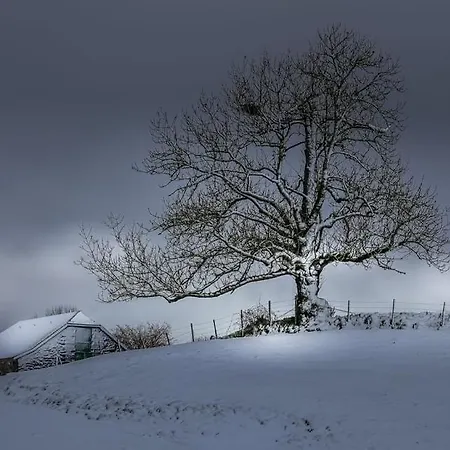 En Toute Simplicité Appartement *