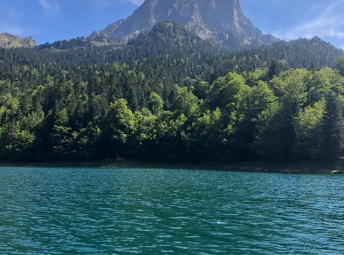 En Toute Simplicite Bielle